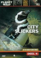 DVD Documentaire - City Slickers