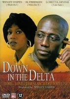 DVD Drama - Down in the Delta