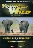 DVD Documentaires - Young and Wild  6-7