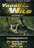 DVD Documentaires - Young and Wild  8-9