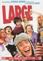 Humor DVD - Large