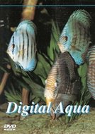 DVD Digital Aqua