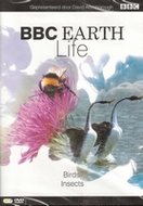 Documentaire DVD - BBC Earth Life 8