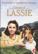 DVD Lassie - Courage of Lassie