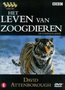 DVD-Documentaire-Het-Leven-van--Zoogdieren-(4-DVD)