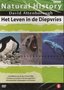 Natural-History-DVD-Het-leven-in-de-Diepvries