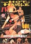 Vechtsport-DVD-Too-Hot-to-Handle-04