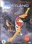 Anime-DVD-Skyland-Belangrijk-bericht