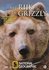 National Geographic DVD - Het rijk van de Grizzly_